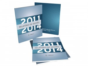 Relatório de Gestão da Federação das Indústrias do Espírito Santo - 2014